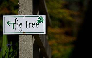 Fig Tree Apartment Yarra Valley