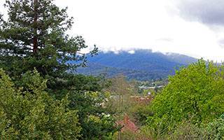 Fig Tree Apartment Yarra Valley